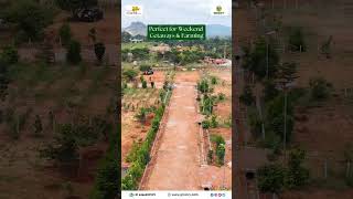 Best Premium Farmland near North Bangalore  Elegant Orchards Estate groavybuilders [upl. by Saucy]