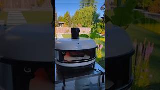 Backyard Beef Steak Mastery Sizzle Smokeand Serve😋shorts steak recipe [upl. by Eilrak927]