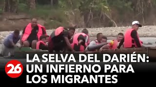 Así es LA SELVA DEL DARIÉN el infierno para los migrantes  26Global [upl. by Niltac]