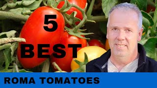 What are the Best Roma Tomatoes to grow in a Garden 2022 [upl. by Tifanie117]