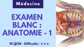 EXAMEN BLANC  ANATOMIE  1  Médecine  10 QCM  Difficulté  ★★★ [upl. by Nairde]