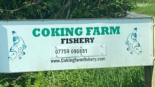 Coking farm fishery 72 hours on long lakePB alert carpfishing carp catfish fishing fish [upl. by Ahsekyw439]