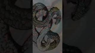 Amphisbaena Greek mythology shorts mythicalcreatures cryptids mythical [upl. by Enaywd]