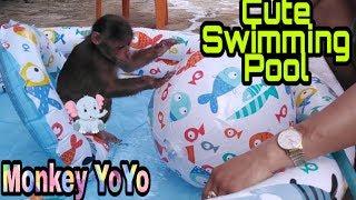 Monkey Baby Yoyo has a new Swimming Pool [upl. by Froehlich922]