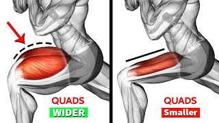 Best 6 Quadriceps Exercise To Get Wide Leg  Leg Workout [upl. by Macdermot]