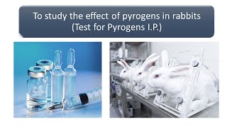 Pyrogen Testing [upl. by Leonteen749]