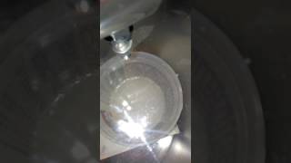 Degassing Resin in A Vacuum Chamber [upl. by Anthony268]