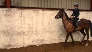 GCSE Horse Riding Video  Level 10 A [upl. by Islean]