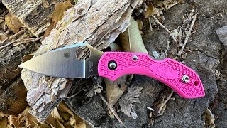 Spyderco Dragonfly 2 [upl. by Alohcin]