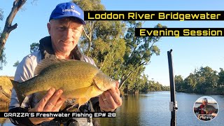 Loddon River Evening Fishing Session  grazzasfreshwaterfishing Ep28 [upl. by Davidoff]