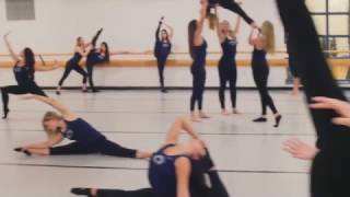 Penn State Lionettes have accepted the mannequin challenge [upl. by Elbys13]