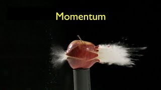 What Is Momentum [upl. by Anyek]