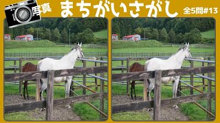 写真間違い探し全5問 80秒以内に3ヶ所の違いを探し出す面白い脳トレ13 認知症予防に最適な空間認識能力と集中力を鍛えて脳を活性化 [upl. by Al]