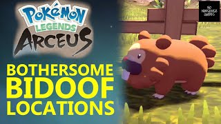 Bothersome Bidoof  Where to Find Missing Bidoof in Jubilife Village  Pokemon Legends Arceus [upl. by Burley]