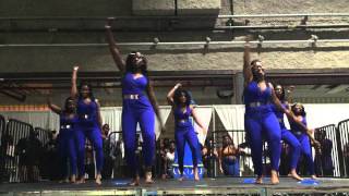 Sigma Gamma Rho  2015 Greekdom NYC Stroll Off Round 2 [upl. by Quinta]