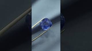 Natural Cornflower Blue Sapphire  Origin Srilanka  Weight 1961 Carat sapphire gemstones gems [upl. by Yssak181]