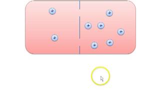 Membranpotential und elektrochemisches Gleichgewicht [upl. by Irahcaz]