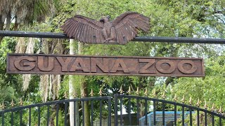 Trip to Guyana’s Zoo [upl. by Nanni]