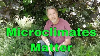 Understanding Microclimates  Change Climates in Your Garden [upl. by Otrepur]