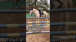 First pony No Ace the 17hh stallion horse equestrian showjumping horselover horsegirls ace [upl. by Oniluap]