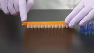 Learn How to Choose a PCR Plate [upl. by Atoiyanap68]