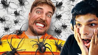 100 SPIDERS vs MAN scary challenge [upl. by Aiym]