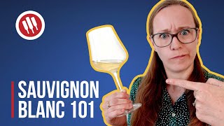 Sauvignon Blanc Everything you need to know  Grapes 101 [upl. by Rosco635]