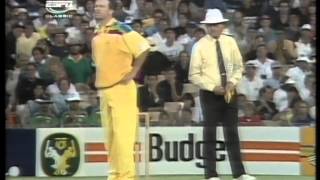 kepler wessels 81 vs Australia WC 1992 [upl. by Reiche]