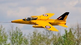 GIANT 135 SCALE FOLLAND GNAT T1 RC BY SCALE JET COMPOSITES PILOTED BY DAVE WILSHERE AT JMA  2017 [upl. by Ashelman]