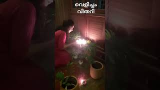 നടുമുറ്റത്ത് ഒരു ദീപാവലി diwali in courtyard indoor plants diya house plants gardening short [upl. by Nosnaj]