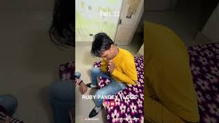 11 Farm House Pr chal rha hai kuch aisa RubyPandeyVlogs [upl. by Eizus]