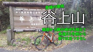 GIANT TCR ADVANCED 1 DISC KOM で行く 谷上山② 三回目 愛媛の激坂 愛媛県伊予市、伊予郡砥部町 [upl. by Trevah]