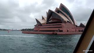 Circular Quay to Mosman Bay by Ferry ⛴️ [upl. by Ahsratan]