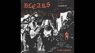 BLEAKS  The Mess LP [upl. by Irianat]