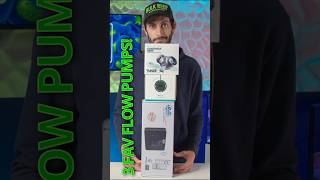 Thomas’ Top 3 Reef Tank Flow Pumps brstv aquarium [upl. by Salisbury]