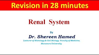 revision of renal system [upl. by Christabelle268]