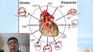 AVR AVL e AVF [upl. by Parke659]