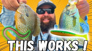 catch more BIGGER Crappie and Sunfish [upl. by Anestassia1]