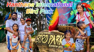 Hanthana International Bird Park Kandy Sri Lanka  Bird Feedings  සුන්දර කුරුලු පාරාදීසයේ [upl. by Gilman]