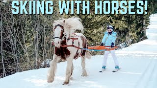 SKIING WITH HORSES SKIJORING  THE EXTREME WINTER EQUESTRIAN SPORT [upl. by Ahsoet]