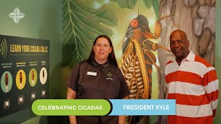 Celebrating Cicadas with President Angelo Kyle [upl. by Merrie]