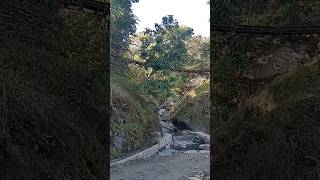 baglung tityang village river suspension bridge youtube shorts nepal [upl. by Kcid]