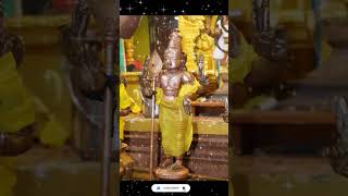 Theeyaga thondri devotional murugan god songshorts 🪔🙏 [upl. by Adnawaj]