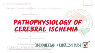 Pathophysiology of cerebral ischemia in detail  Neuroaholic [upl. by Llewop42]