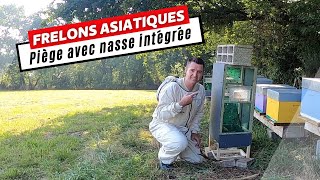 Piège à Frelons Asiatiques DIY  Principe de la Nasse en Action [upl. by Naicad]