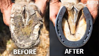 Satisfying Full Horse Hoof Restoration  4K FARRIER ASMR [upl. by Bates]