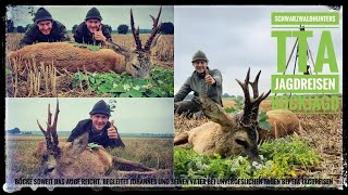 Bockjagd  Jagdreise  TTAJagdreisen  Schwarzwaldhunters  Bockjagd zur Blattjagd in Polen  Teil1 [upl. by Nared]