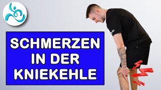 Schmerzen in der Kniekehle Bakerzyste selbst behandeln  Soforthilfe [upl. by Akzseinga]