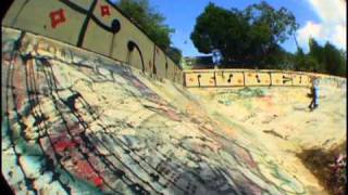 Emerica Stay Gold BSide Andrew Reynolds [upl. by Retep288]