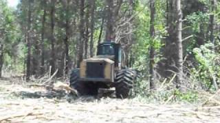 CAT 533 Feller Buncher with CAT HF222 Sawhead [upl. by Judsen]